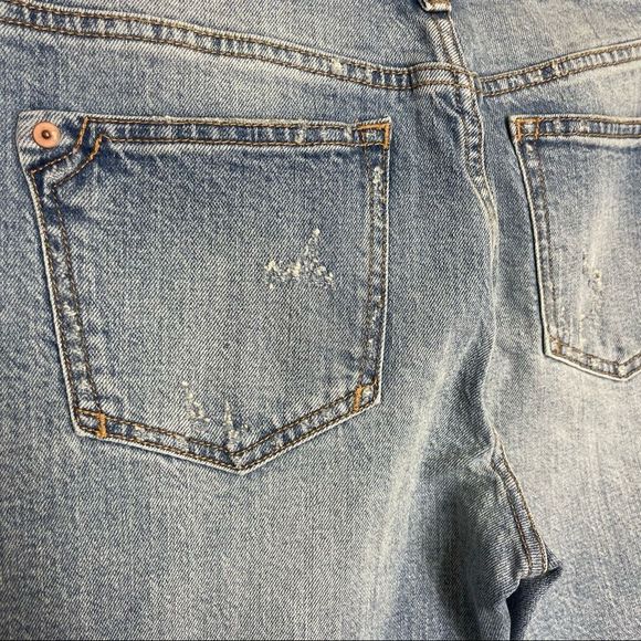 Anthropologie Pilcro and the Letterpress Embroidered Denim Floral Jeans Cropped - Picture 8 of 11